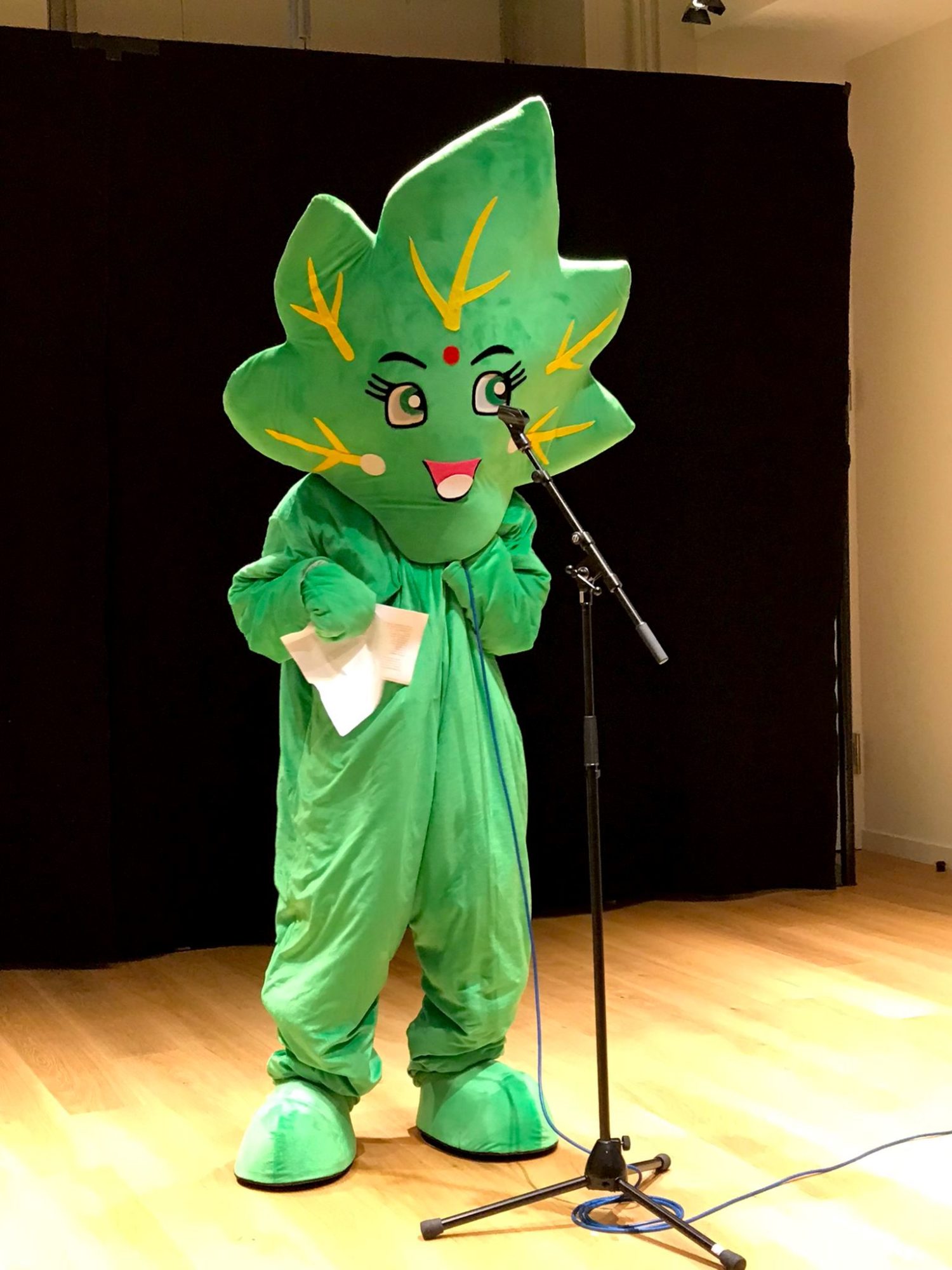 The mascot is representing The Montesinos Federation and Die Unkraut Boschaft (Weed Embassy)