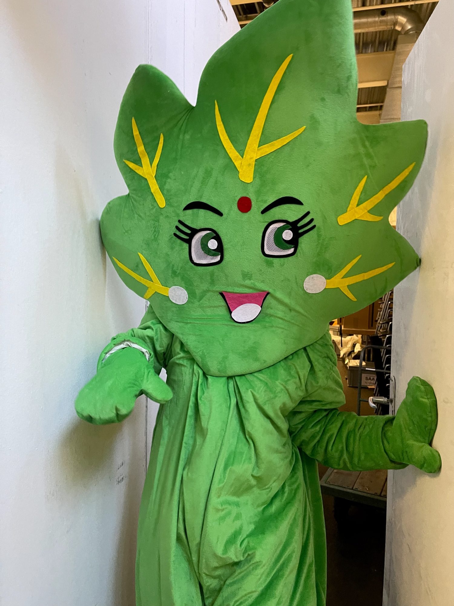 The mascot is representing The Montesinos Federation and Die Unkraut Boschaft (Weed Embassy)